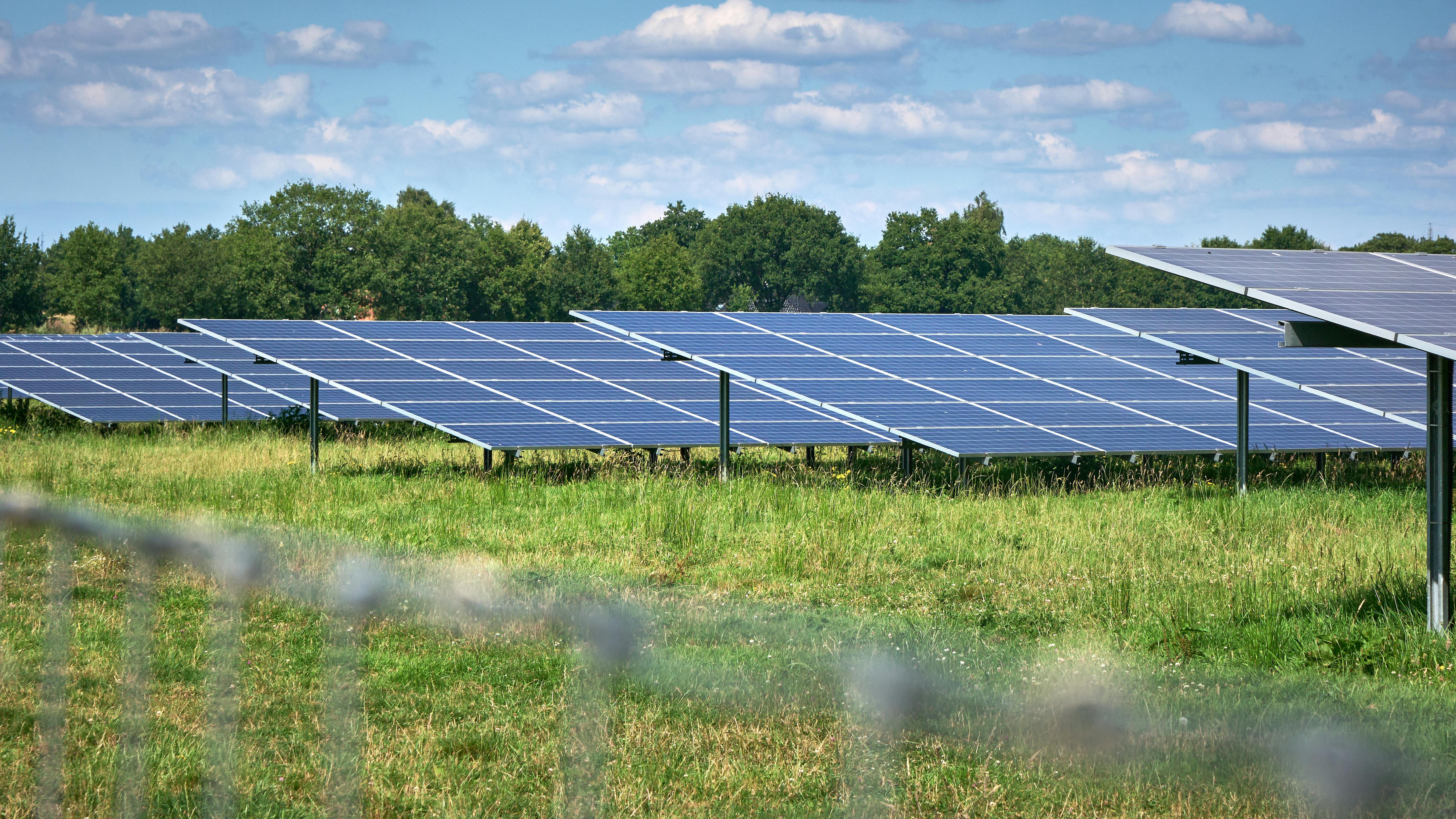 67b34b882e2ec41848a46ef5 Dreamstime Xxl 338849338