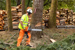 An Asplundh forester trims trees near Sheridan, Ore. during tree trimming operations. PGE’s service area includes more than 2.2 million trees and approximately 12,000 miles of overhead power lines. PGE and Asplundh crews conduct routine, year-round tree-trimming and vegetation management. An Asplundh forester trims trees near Sheridan, Ore. during tree trimming operations. PGE’s service area includes more than 2.2 million trees and approximately 12,000 miles of overhead power lines. PGE and Asplundh crews conduct routine, year-round tree-trimming and vegetation management.