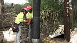 Hawaiian Electric crews install wire mesh as a fire retardant to protect its utility poles in Waiʻanae, Oʻahu. Hawaiian Electric crews install wire mesh as a fire retardant to protect its utility poles in Waiʻanae, Oʻahu.