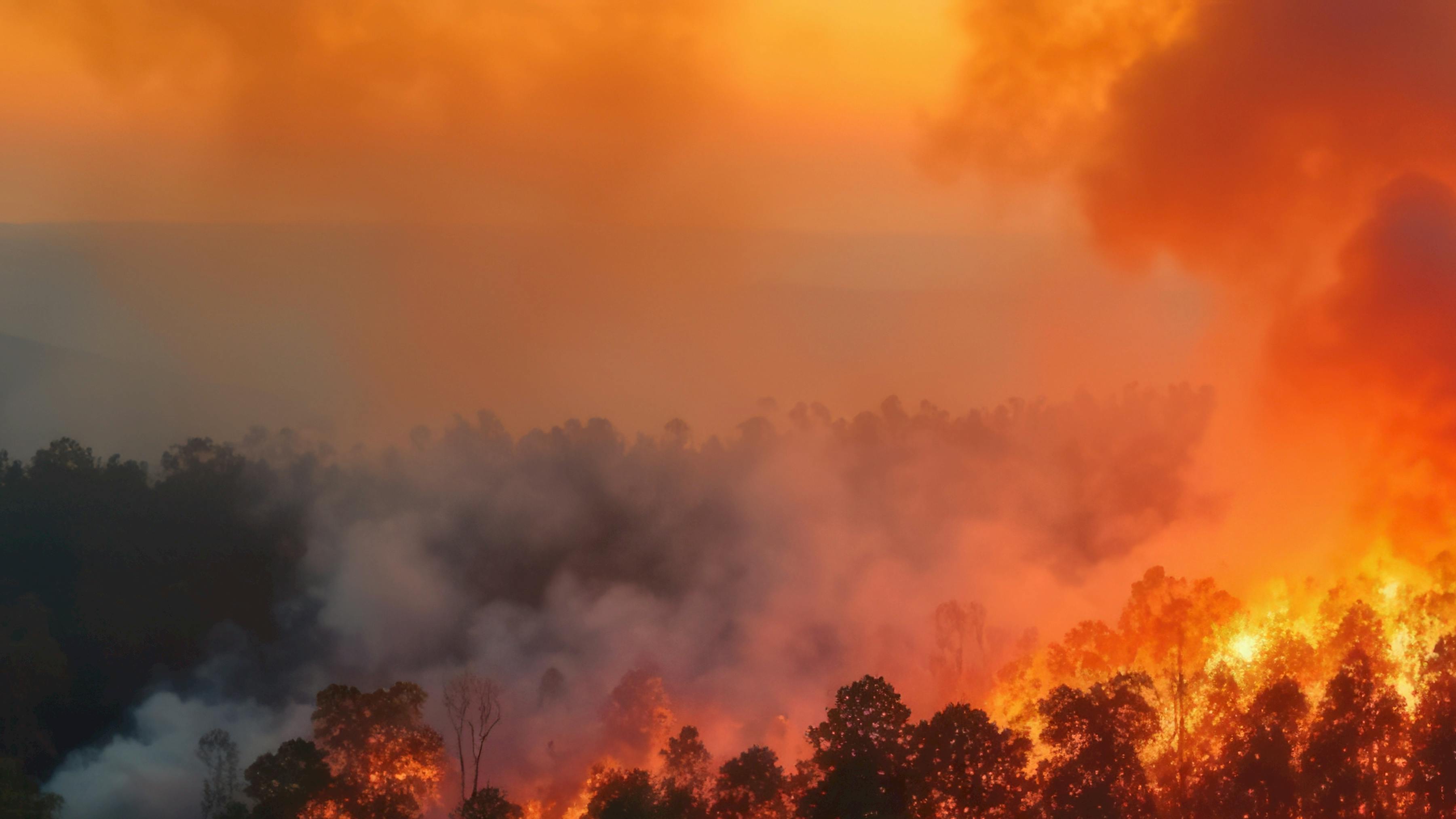 While system hardening and automation have taken center stage in recent years, the adaptability of protective devices, particularly reclosers, is emerging as a critical factor in wildfire risk reduction.