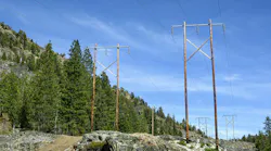power lines by trees in California power lines by trees in California