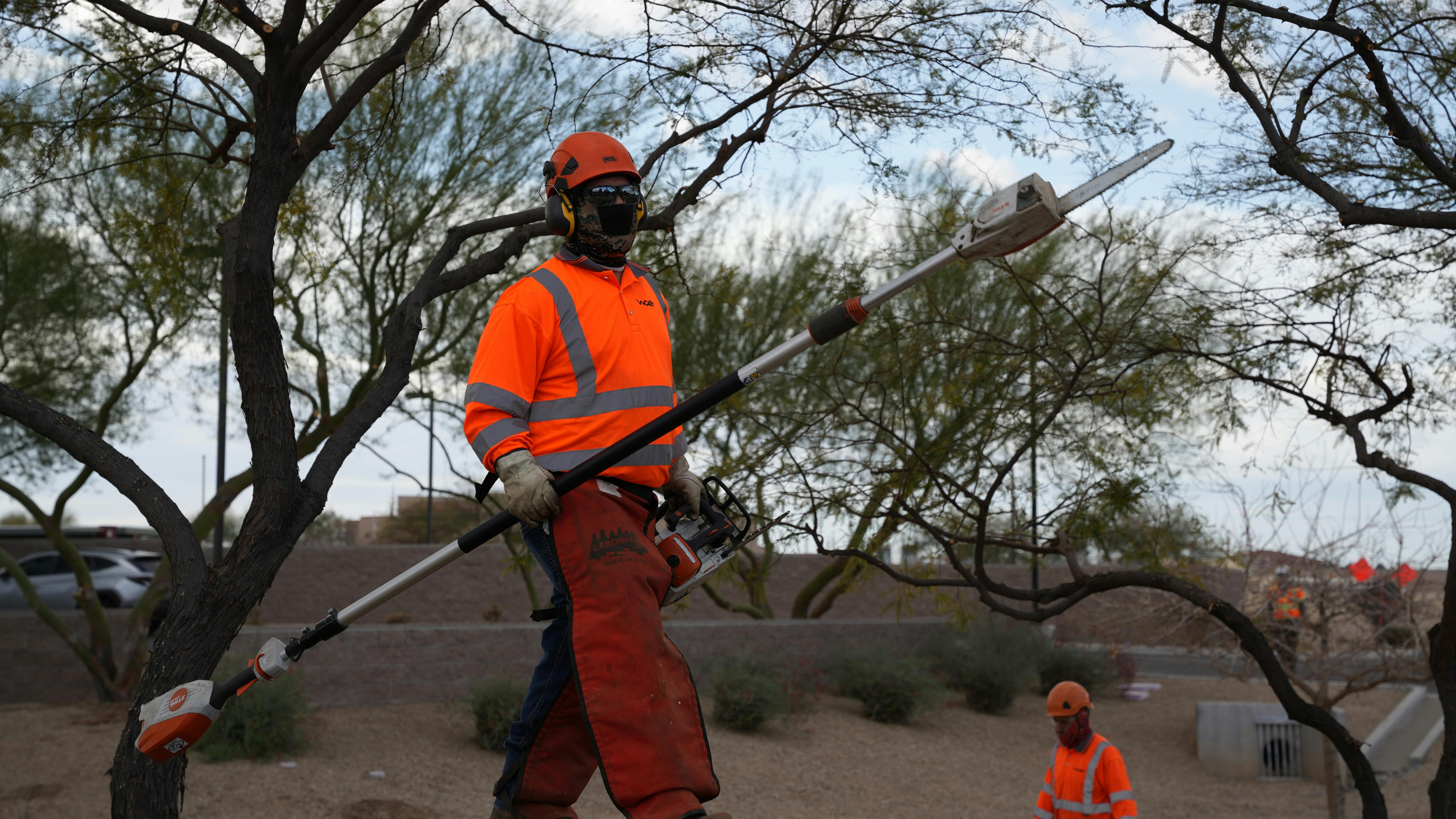 SRP worker planting trees