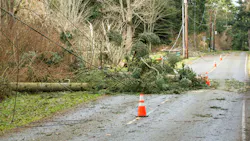 Vegetation outages are typically the leading cause of outages for electric utilities. Vegetation outages are typically the leading cause of outages for electric utilities.