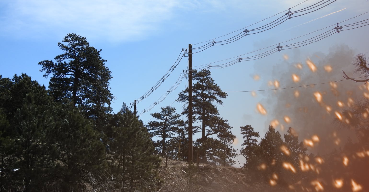 68094aab9cc08e05b41d155e Feature 1 Hendrix Wildfirephoto 1540x800 Embers