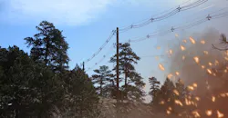 68094aab9cc08e05b41d155e Feature 1 Hendrix Wildfirephoto 1540x800 Embers 68094aab9cc08e05b41d155e Feature 1 Hendrix Wildfirephoto 1540x800 Embers