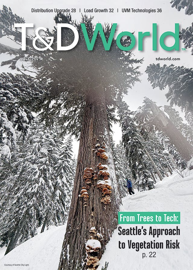 July 2025 cover image