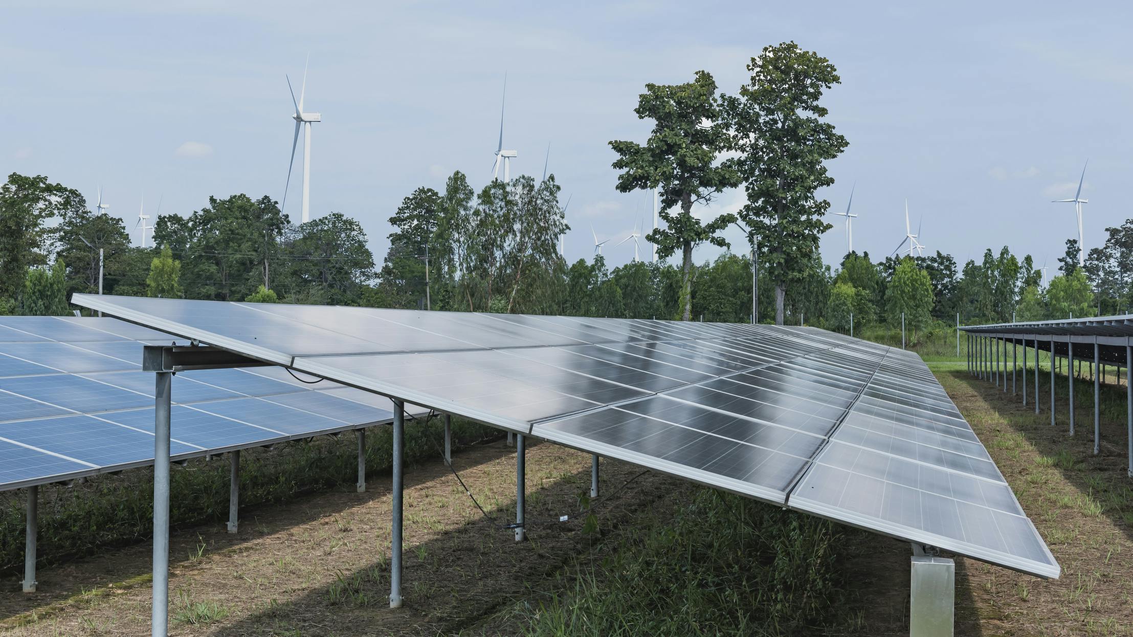 68a39a102df62dc33267e726 Dreamstime M 245118116