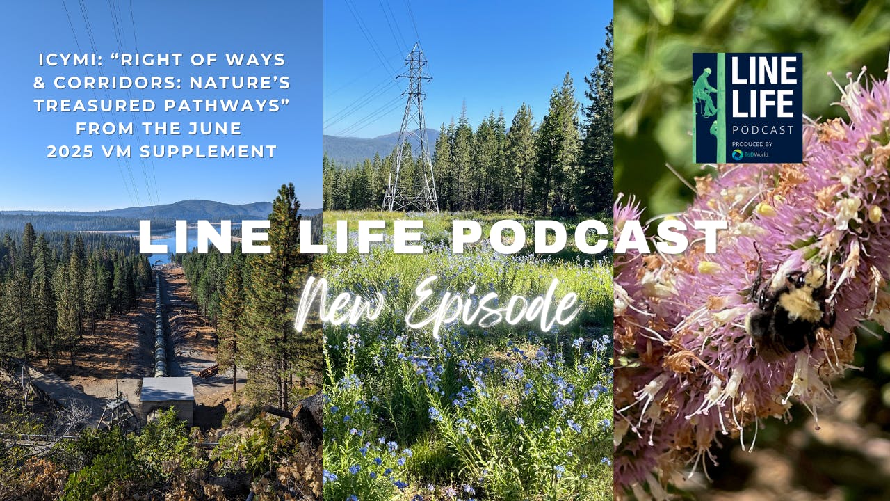 modern_travel_city_vlog_photo_collage_youtube_thum