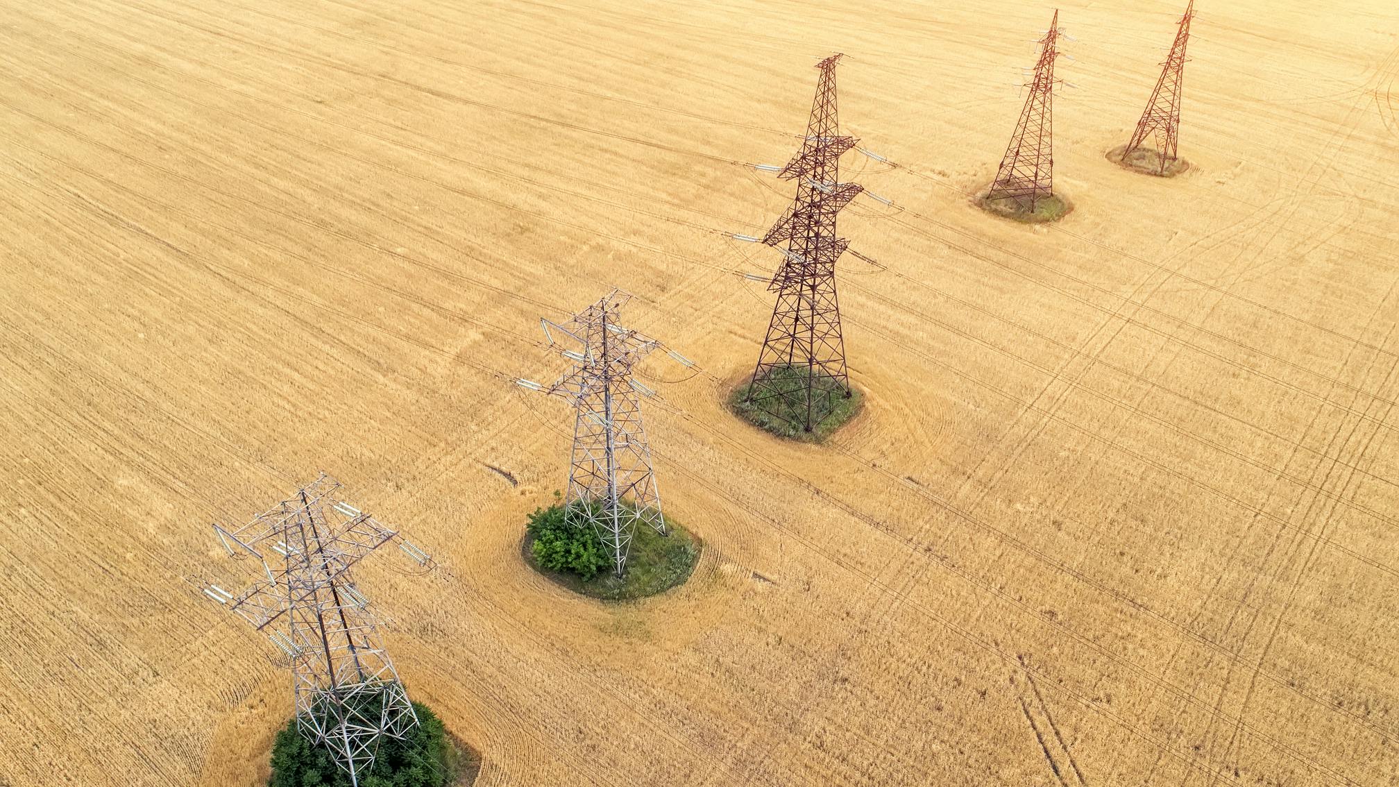 Aerial view over the agricultural fields. Yellow wheat and power lines