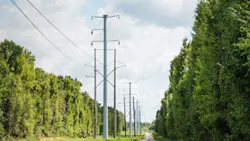 691379981c9b14b0b088ed87 Duk Wires 1 691379981c9b14b0b088ed87 Duk Wires 1