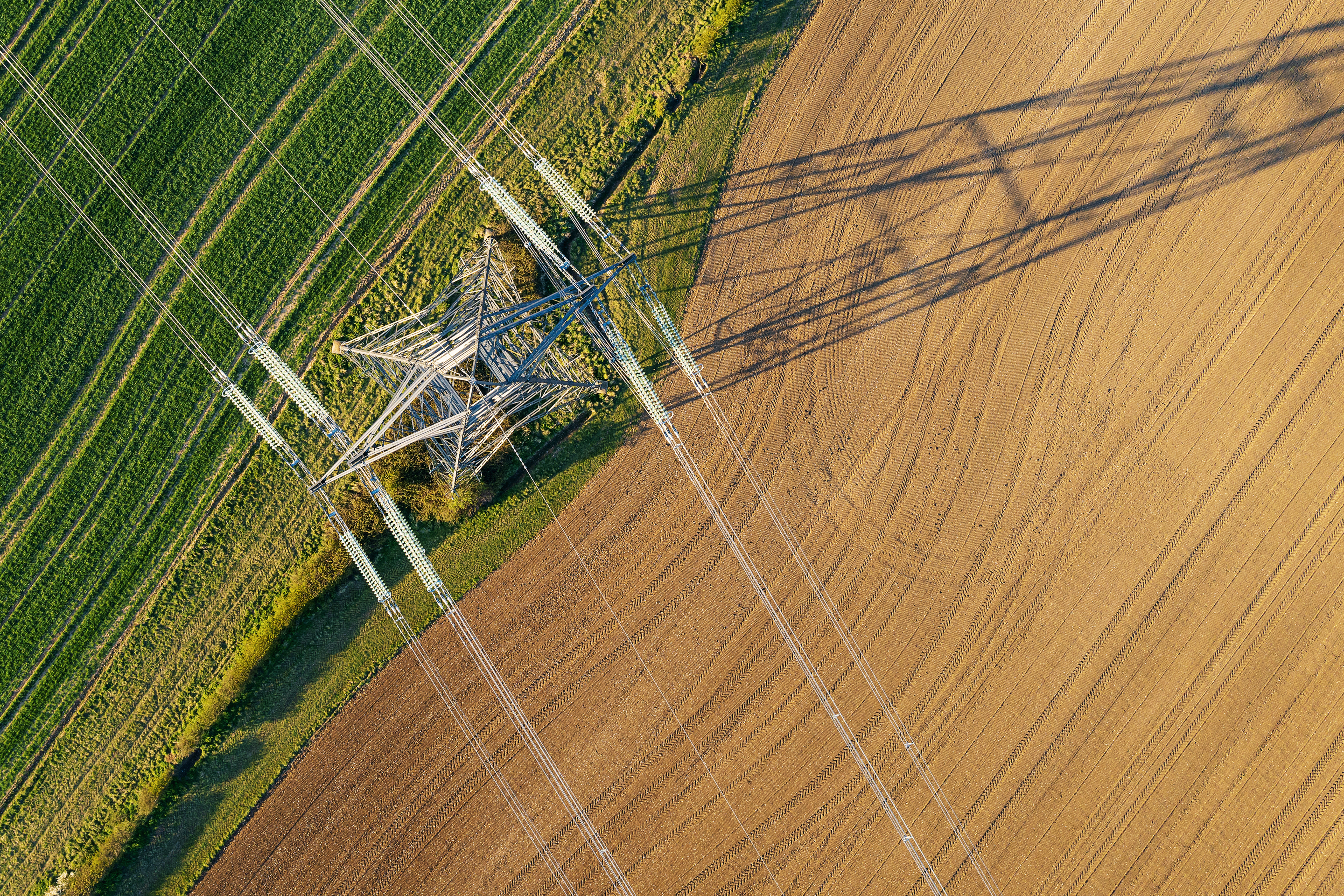 toth_case_study_gettyimages1312399237