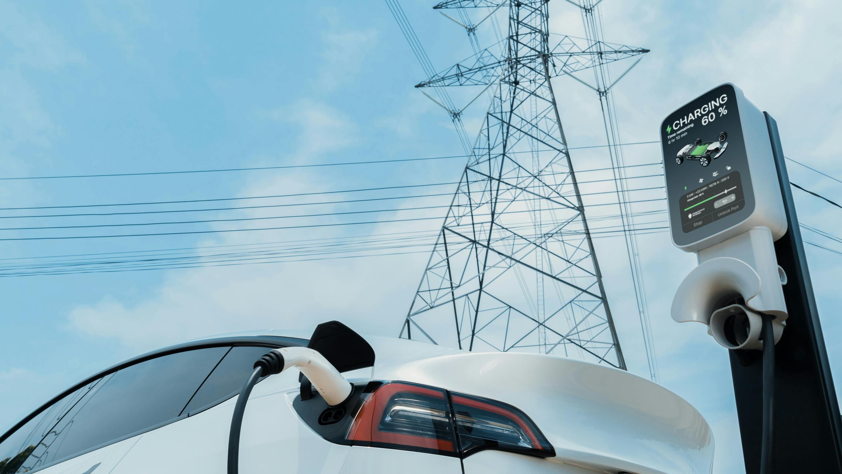 dreamstime_l_310855008