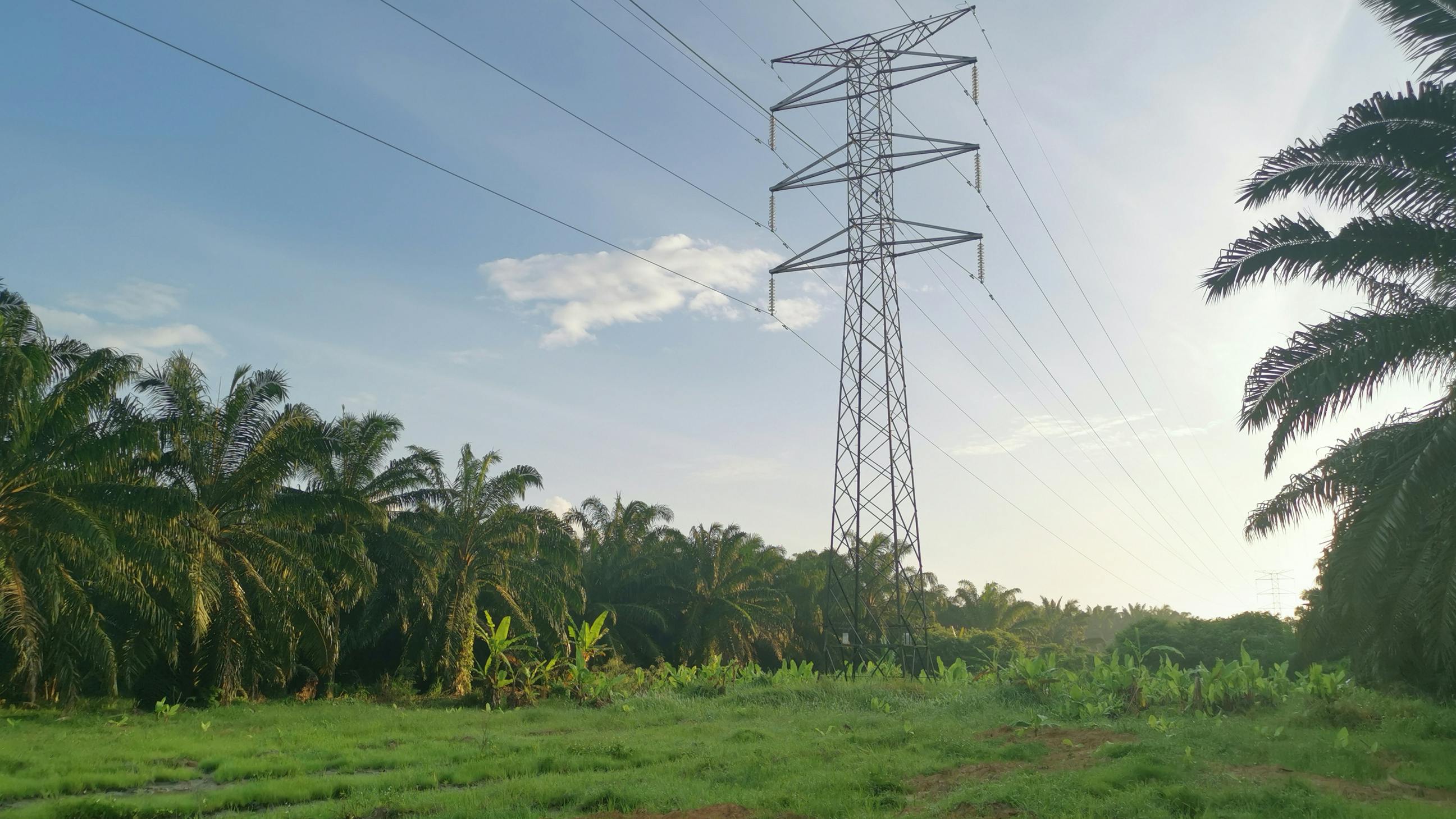 6942d0ed2cc25628bf113d05 Dreamstime L 233302335