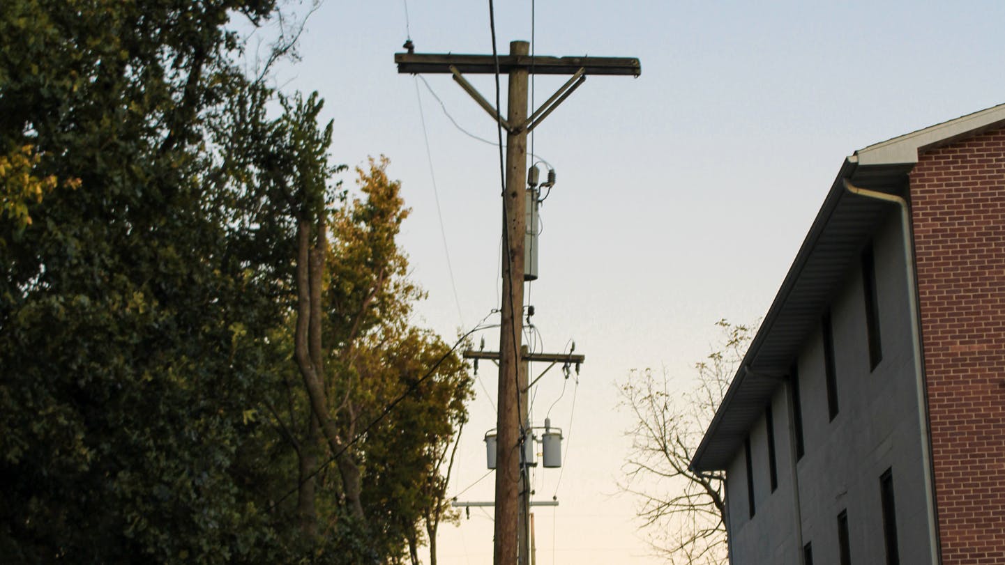 distribution poles by trees and building