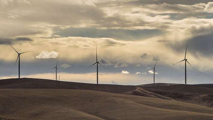 69948e5c5e2acb38c2c480ef Htucannon179