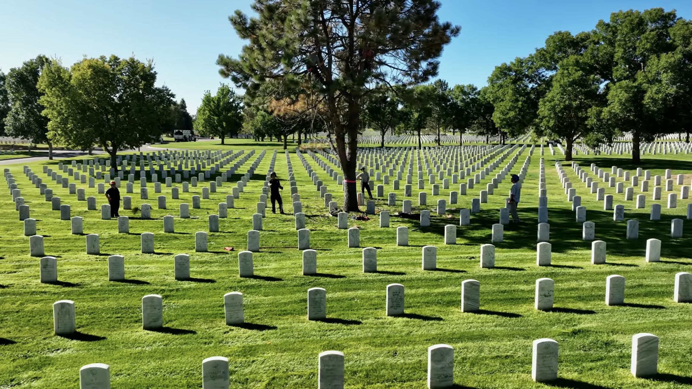 699c98d2ee74836cc676f4e6 Screenshot 20260223 At 12