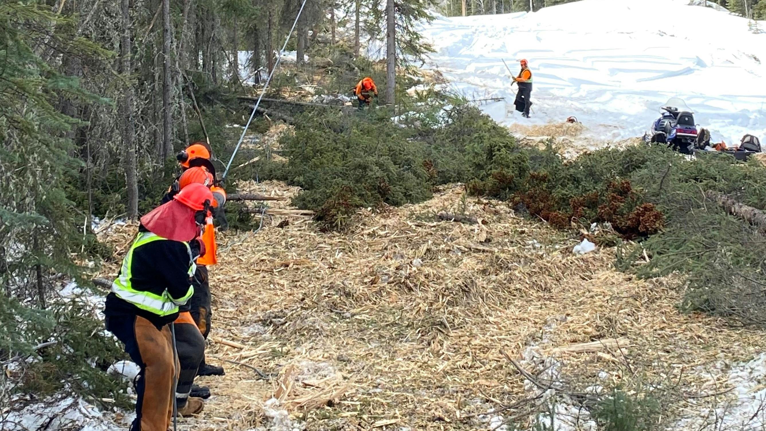 hazard_tree__widening_1