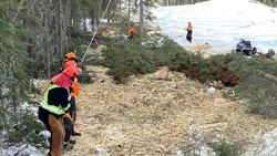 699c9fdb9e5d95a40a7c66e5 Hazard Tree Widening 1 699c9fdb9e5d95a40a7c66e5 Hazard Tree Widening 1