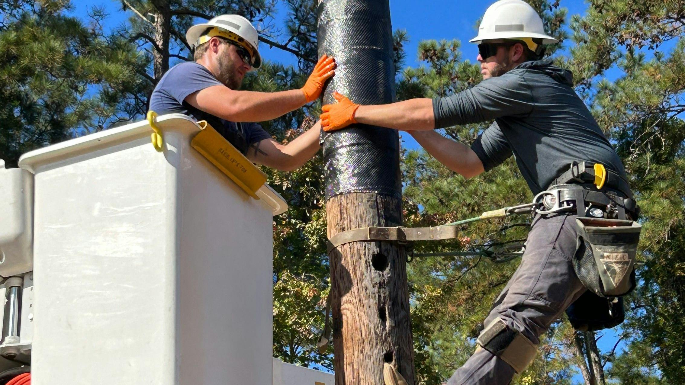 Woodpecker damage is visible on lower section of pole.