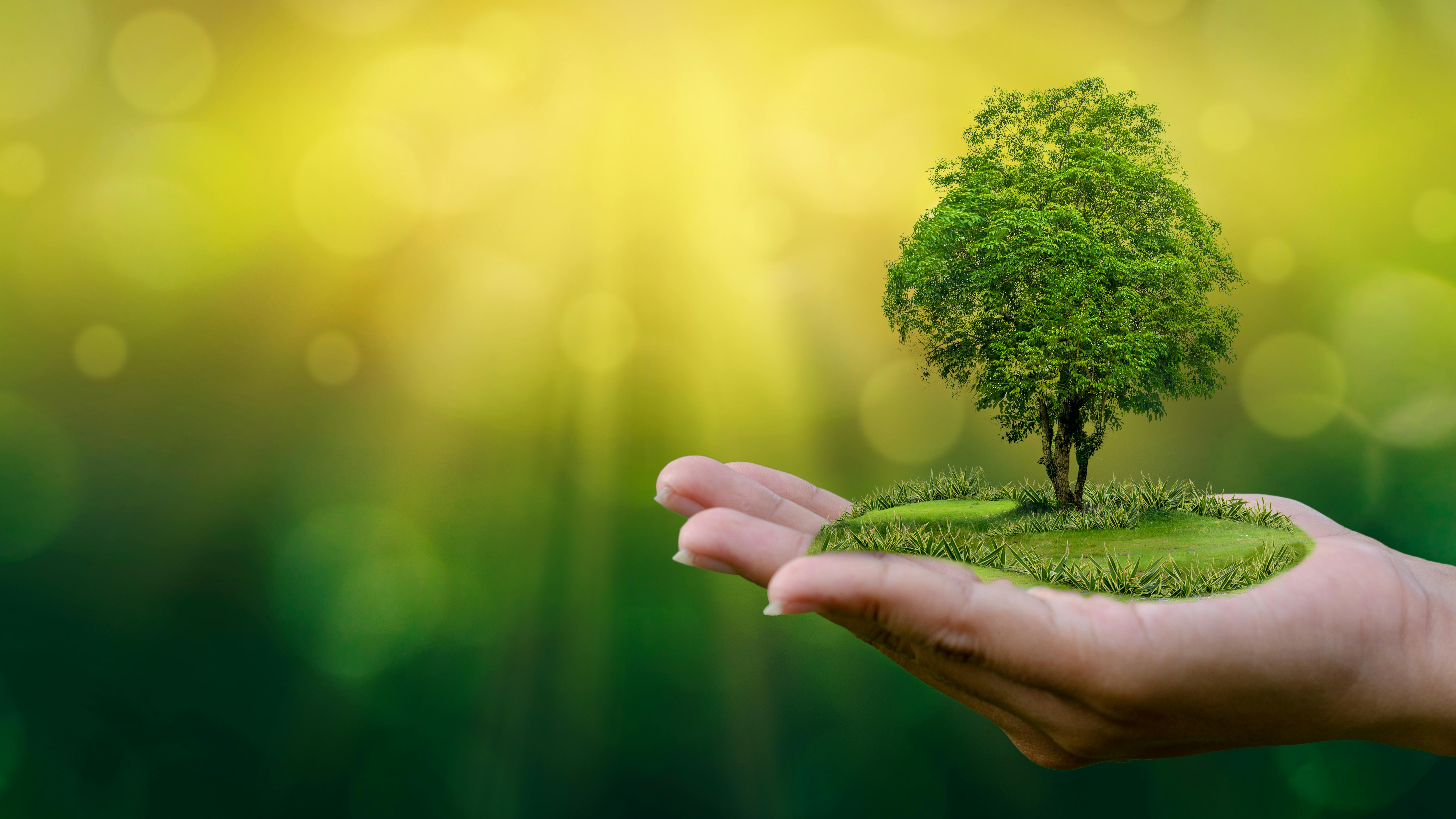 69a0a4d937cec86a0165c376 Dreamstime Xxl 122119019