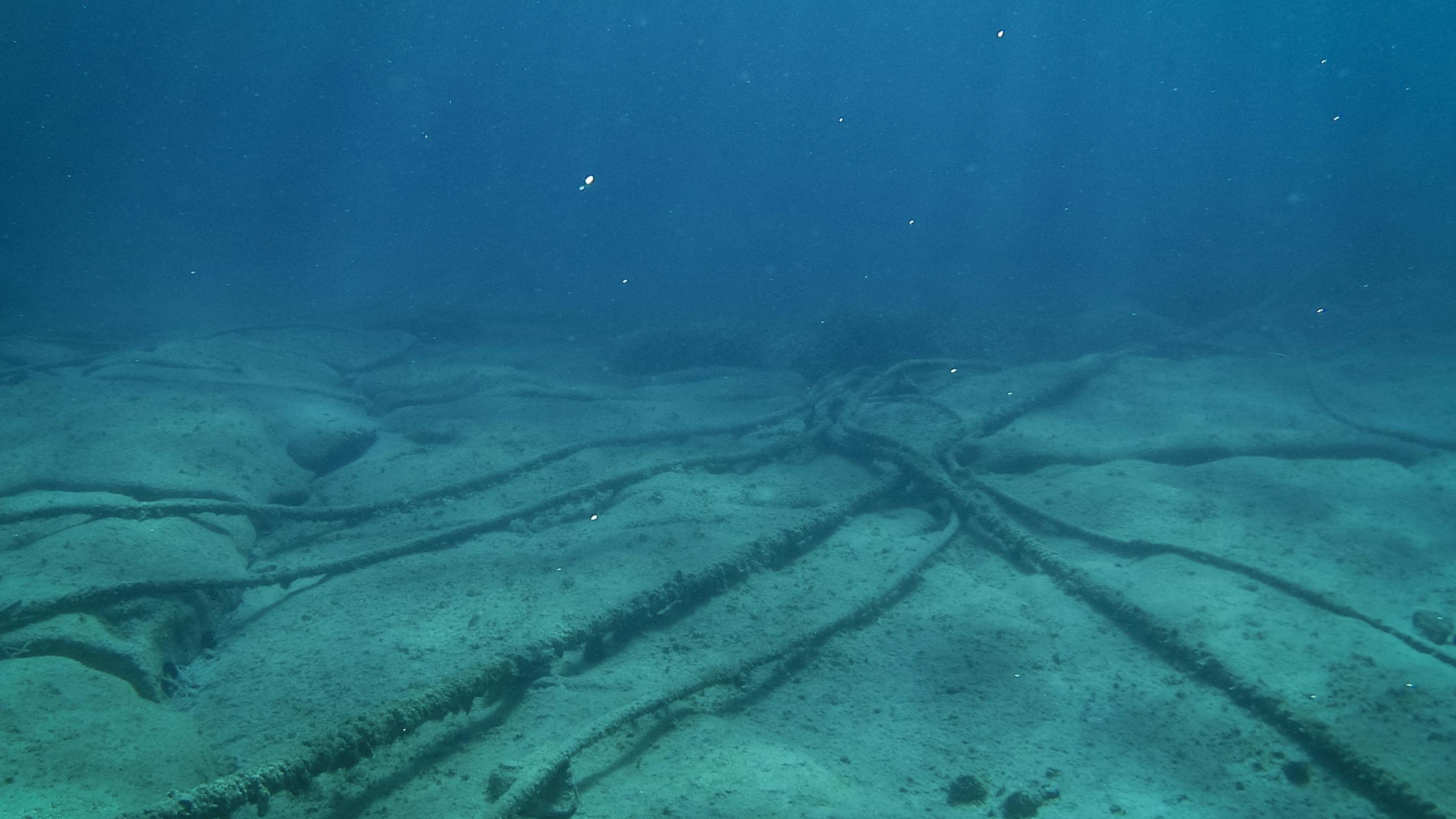 dreamstime_l_202314629