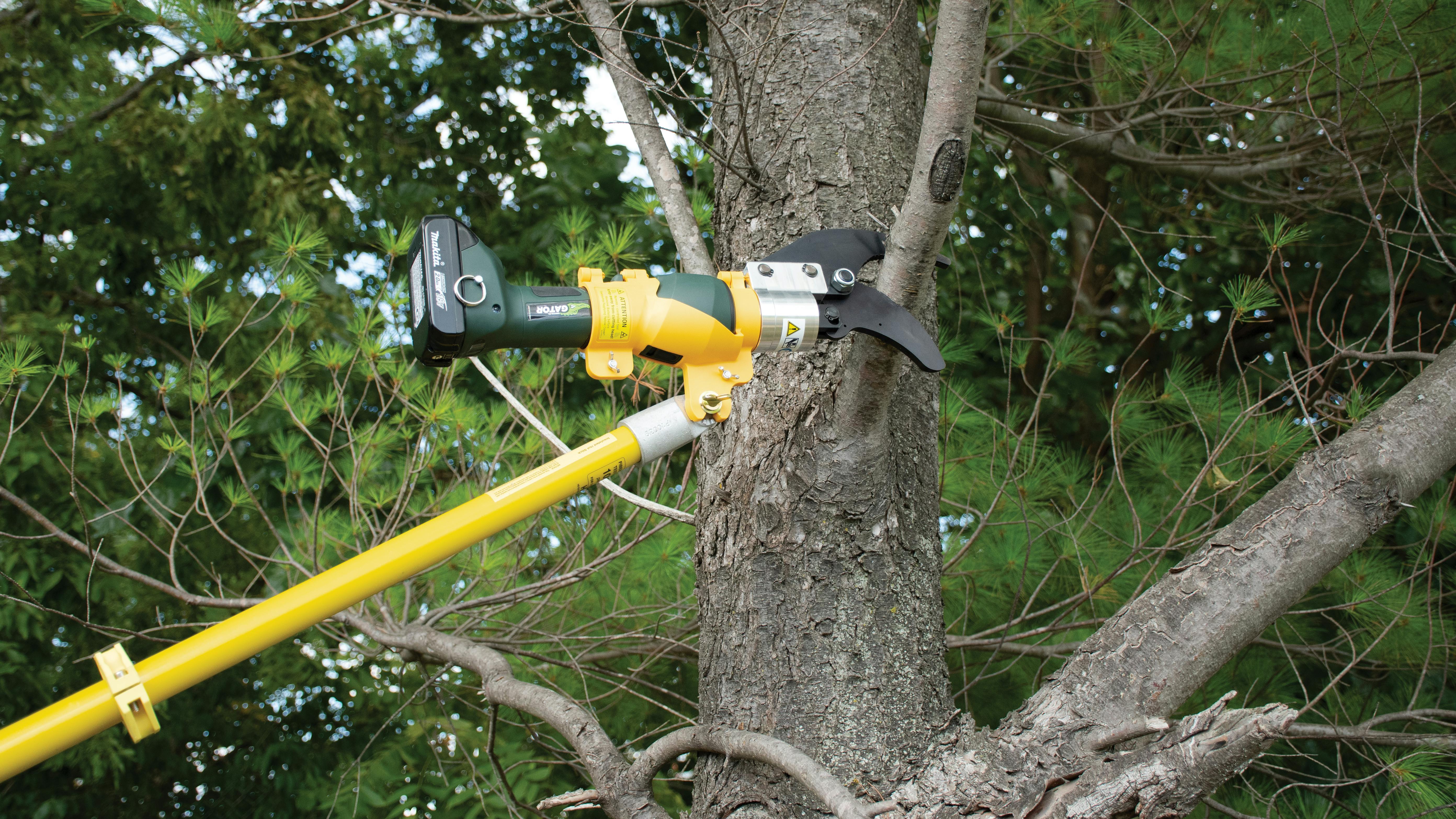 g_remote_pruner_action