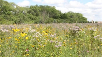 20260211_120052_16007