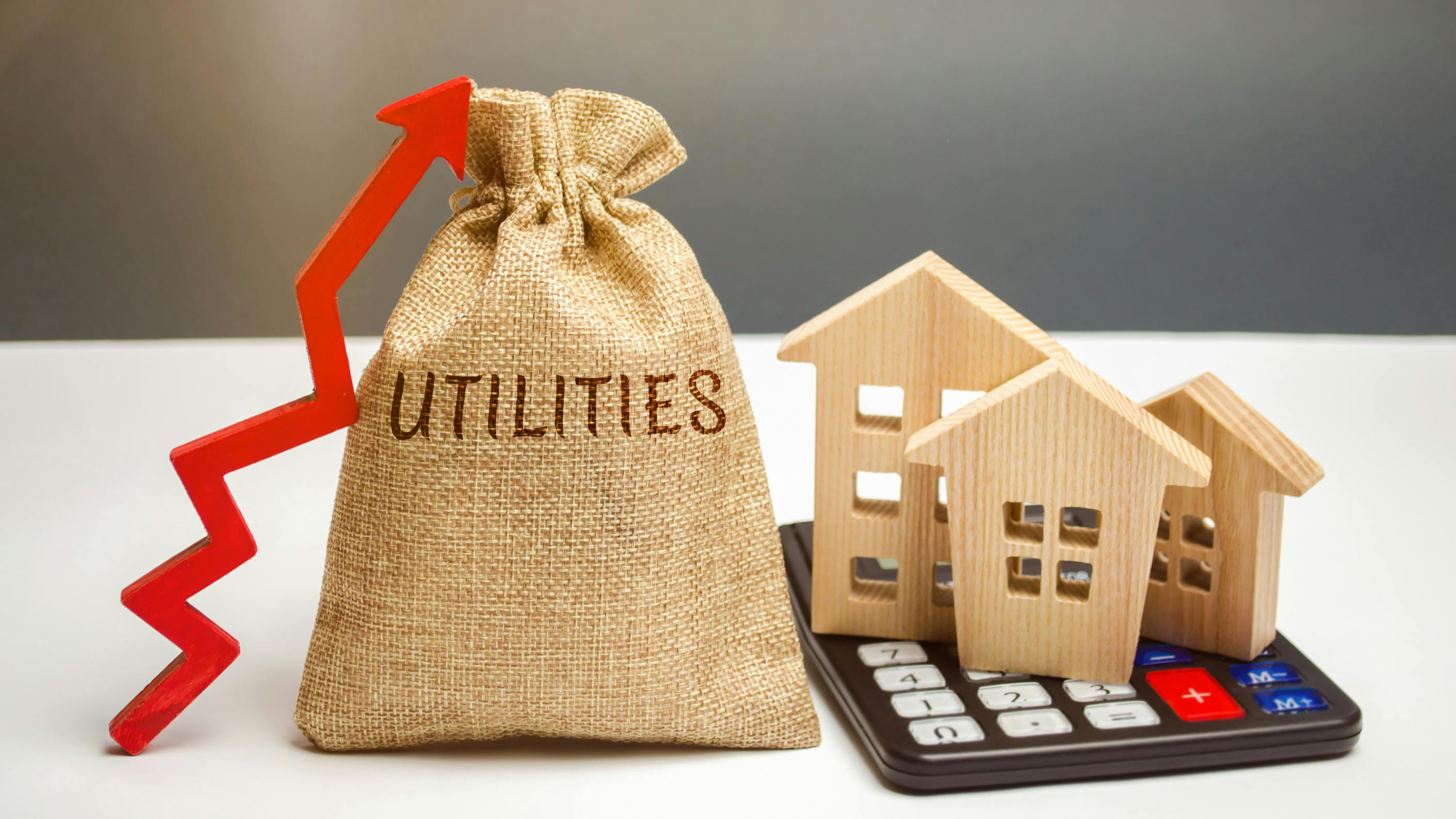 dreamstime_l_137913804