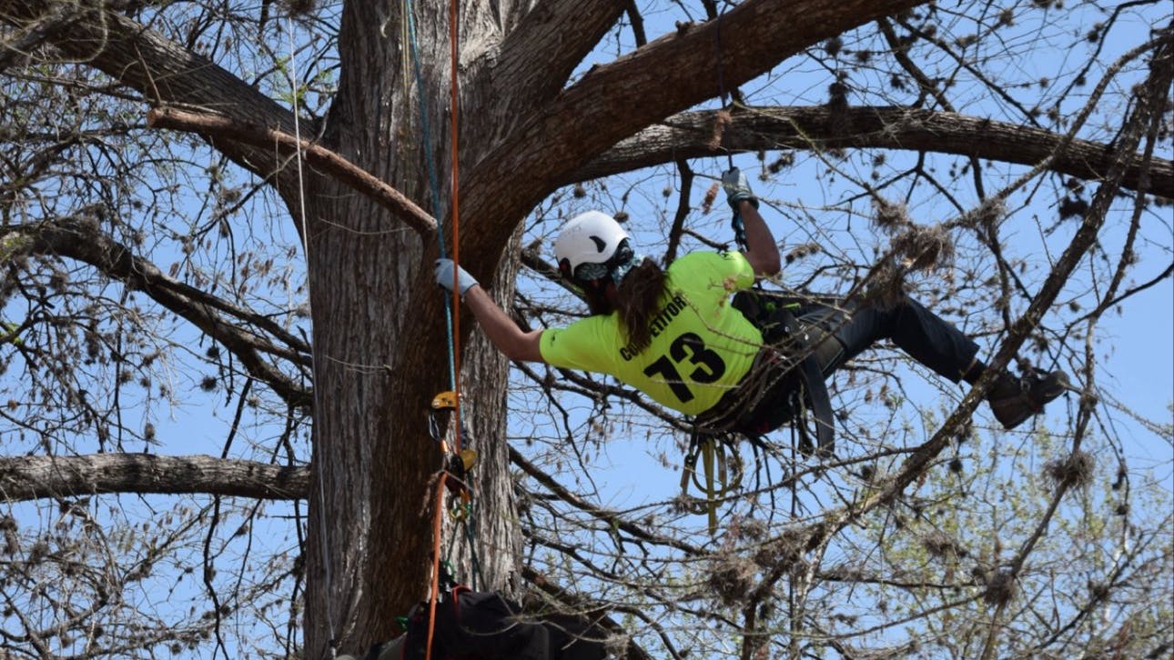 583237513_1247337080753378_2832819846646212117_n