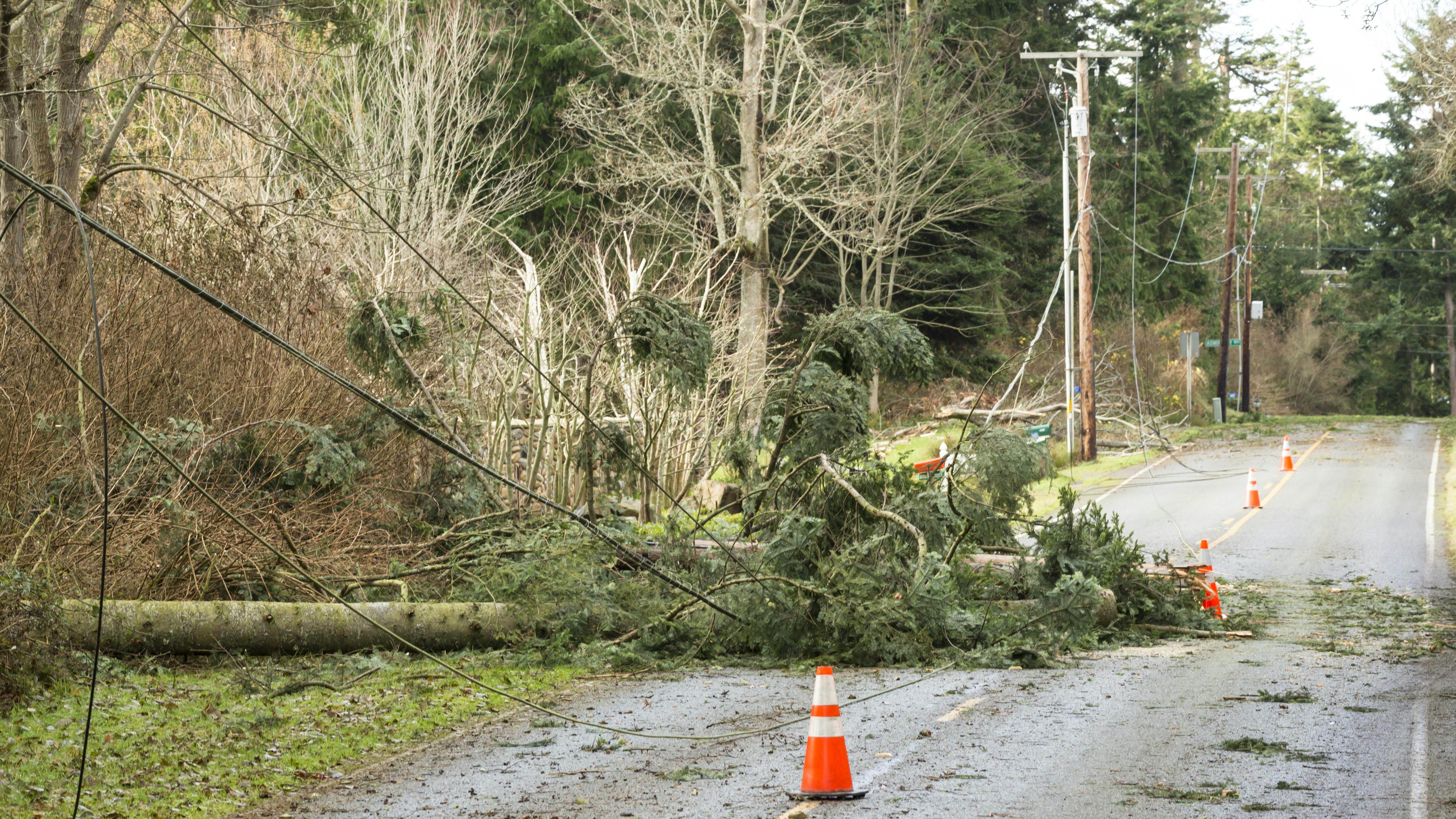 dreamstime_xxl_124577730