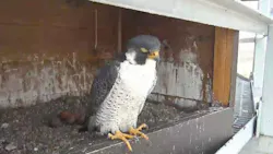 69cab2c9690f4c2af3e3f614 Screenshot 20260330 At 12 69cab2c9690f4c2af3e3f614 Screenshot 20260330 At 12