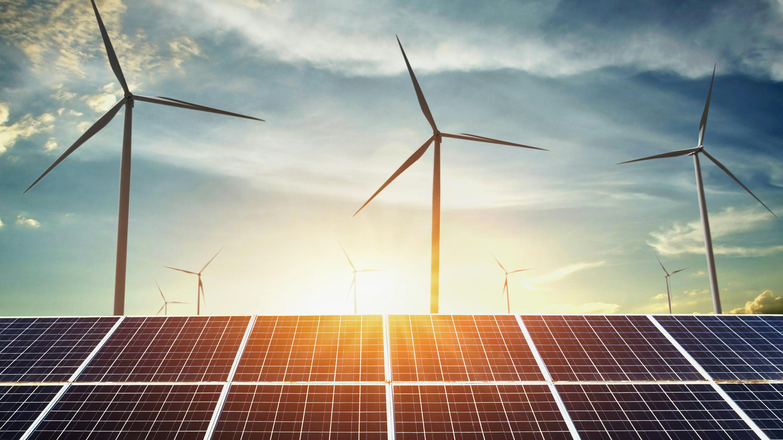 69cd35d499ee8941d9e3ae1f Dreamstime L 113486611