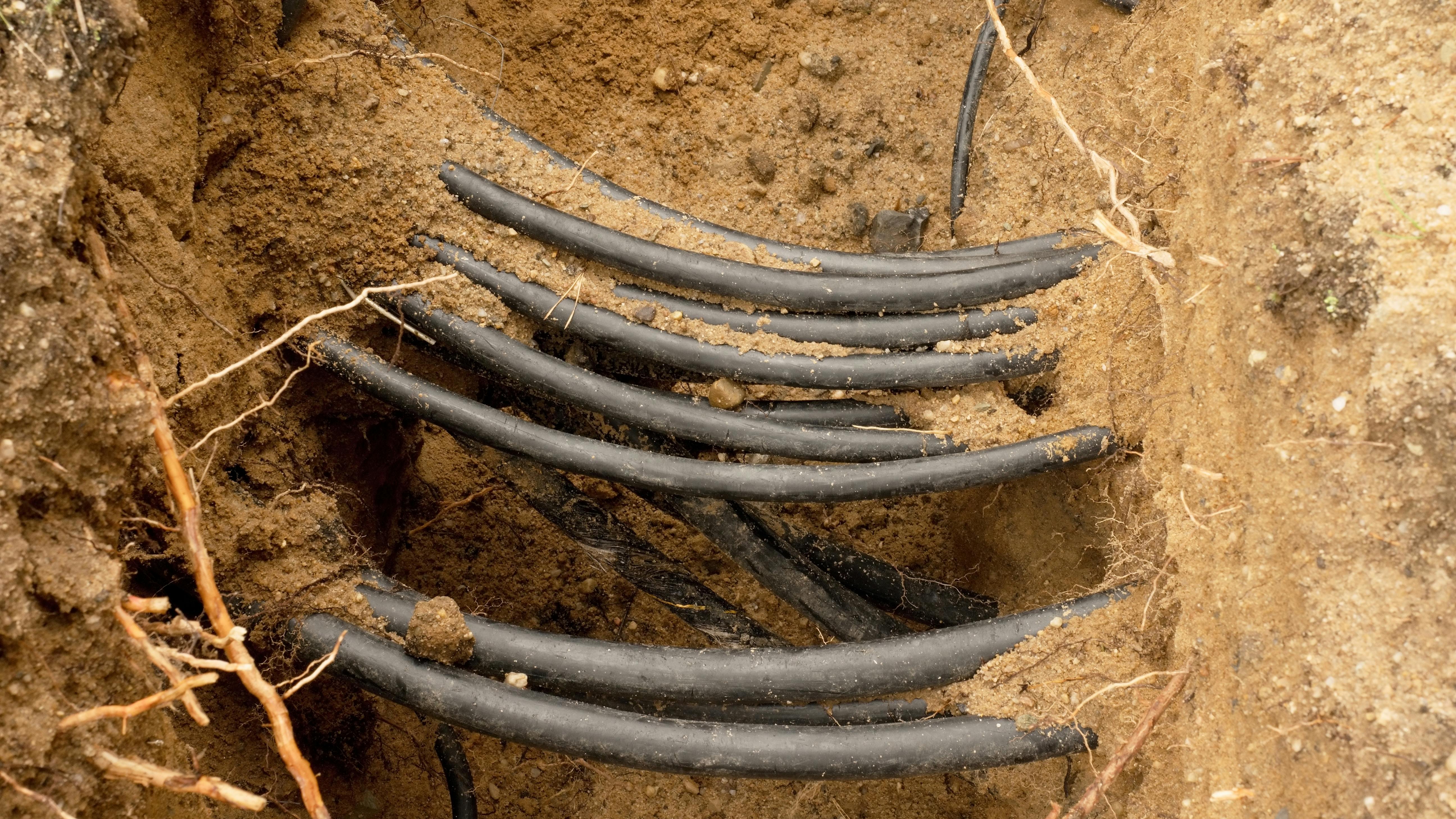 69d7f7877390aaa72b24a9c5 Dreamstime Xxl 77600949