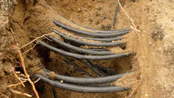 69d7f7877390aaa72b24a9c5 Dreamstime Xxl 77600949 69d7f7877390aaa72b24a9c5 Dreamstime Xxl 77600949