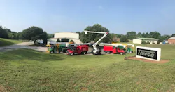 Forestry division Forestry division