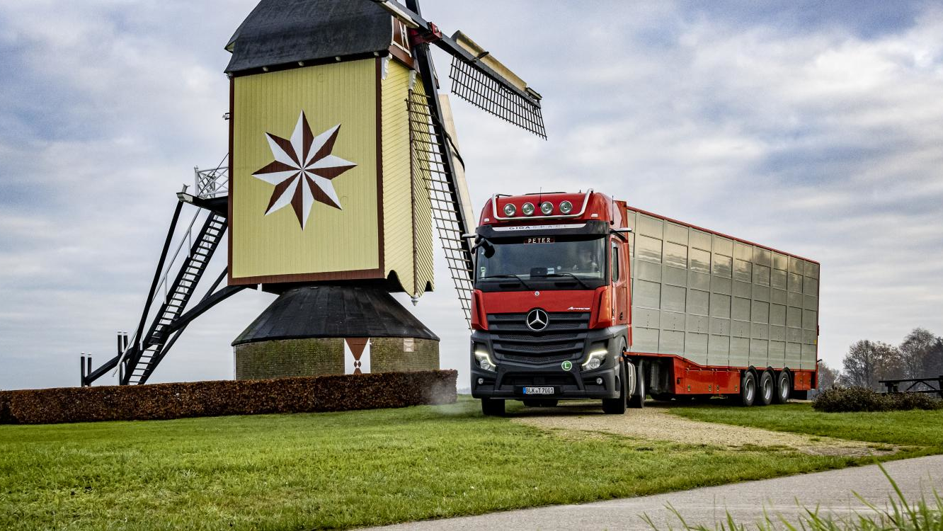 Berdex Ames 62392cfe50567