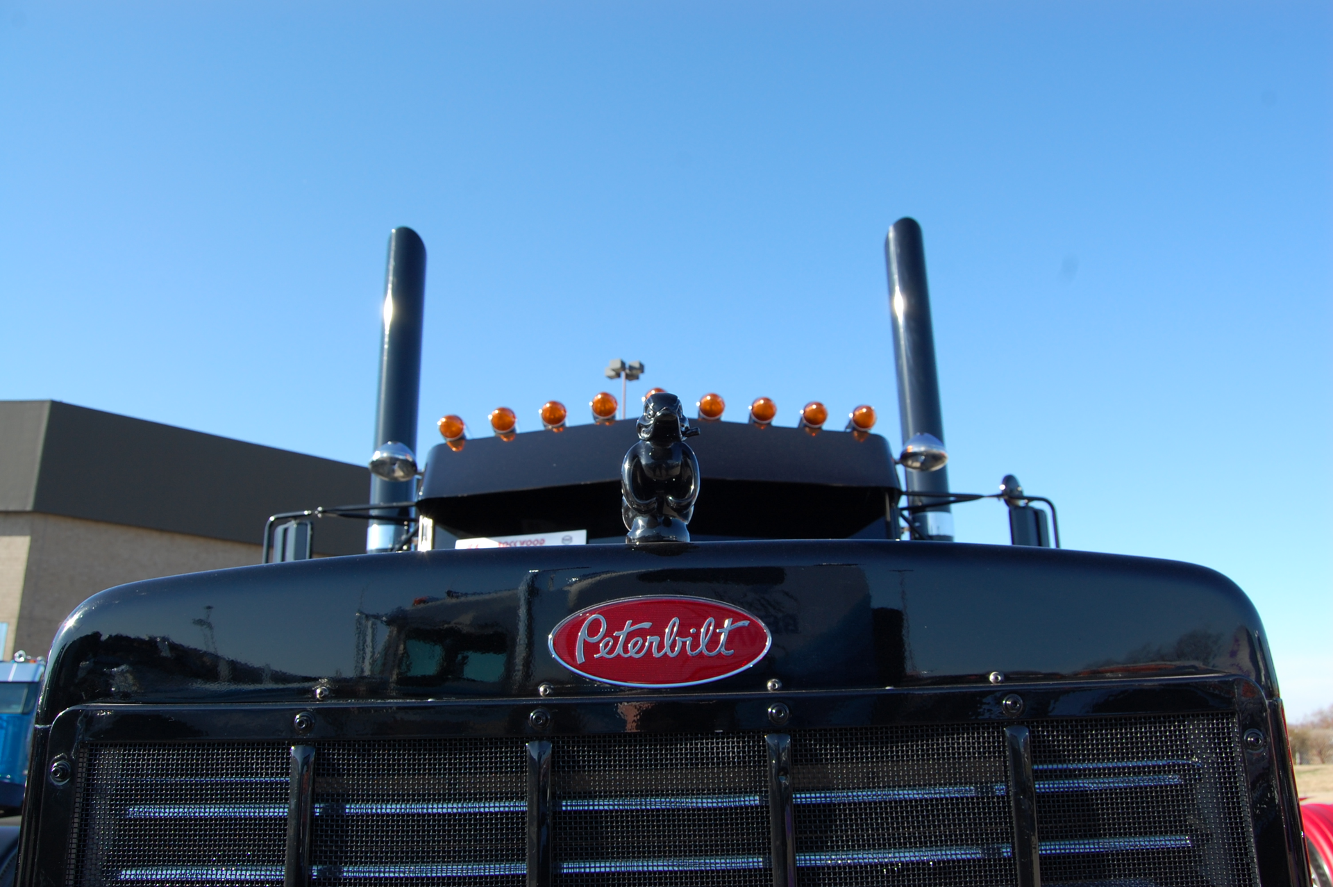 duck hood ornament