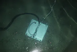 1505vsd Snapshot Figure4 1505vsd Snapshot Figure4