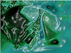 Vision conference steals ideas from the natural world Vision conference steals ideas from the natural world