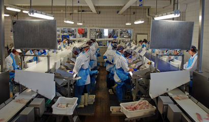 Hyperspectral imaging system helps automate inspection of cod fillets in production