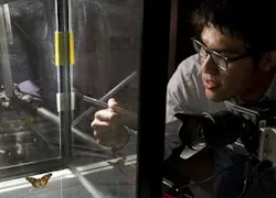 Johns Hopkins University undergrad Tiras Lin studies the motion of butterflies using a high-speed imaging system. The research may enable improved engineering of micro aerial vehicles (MAVs). (Image: Will Kirk/JHU) Johns Hopkins University undergrad Tiras Lin studies the motion of butterflies using a high-speed imaging system. The research may enable improved engineering of micro aerial vehicles (MAVs). (Image: Will Kirk/JHU)