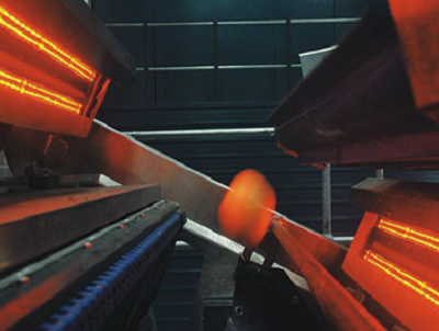 Odenberg Vision system