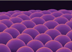 Microlens arrays built from biomaterials Microlens arrays built from biomaterials