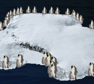An international team of scientists has used satellite images to estimate the number of penguins at each colony around the coastline of Antarctica.