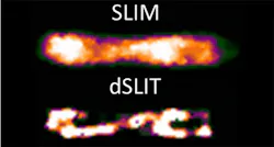 Non-invasive method images cells in 3-D Non-invasive method images cells in 3-D