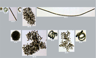 Imaging instrument helps protect drinking water