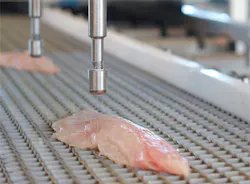 Fish processed by vision system Fish processed by vision system