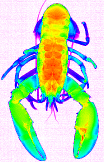 Content Dam Vsd Online Articles 2013 07 Wp4e417228