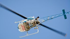 Content Dam Vsd Online Articles 2013 08 Fire Ants