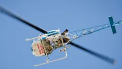 Content Dam Vsd Online Articles 2013 08 Fire Ants Content Dam Vsd Online Articles 2013 08 Fire Ants